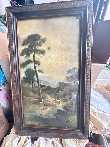 Lot #3 (1 of 6)
