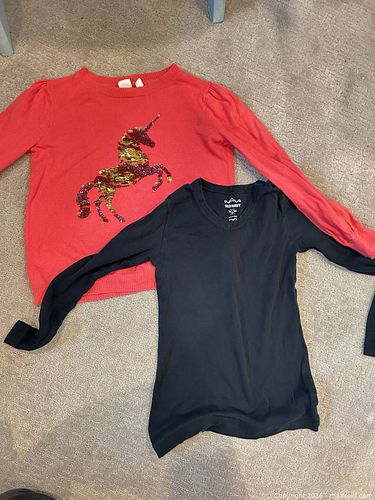 Lot #19 (1 of 5)