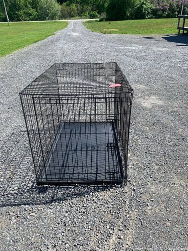 Lot #42 (1 of 6)