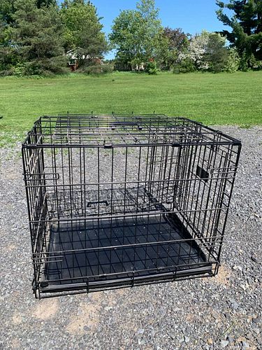 Lot #41 (1 of 6)