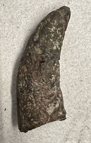 Lot #117 (1 of 7)