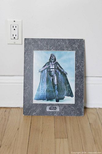 Lot #44 (1 of 2)