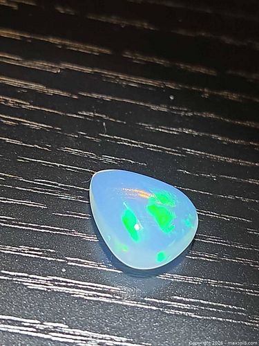 Lot #21 (1 of 14)