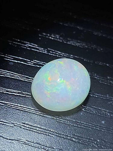 Lot #23 (1 of 11)