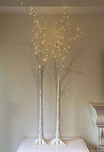 Plastic Birch Tree with Lights x2 (1 of 10)