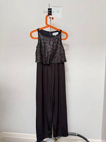 Lot #17 (1 of 3)