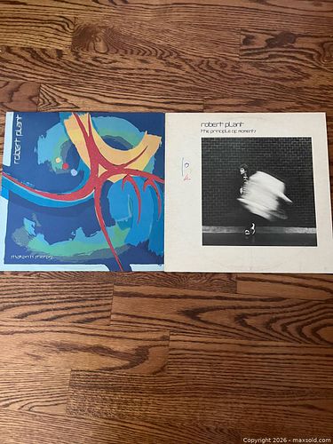 Lot #226 (1 of 9)