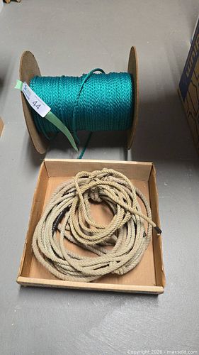 Lot #44 (1 of 6)
