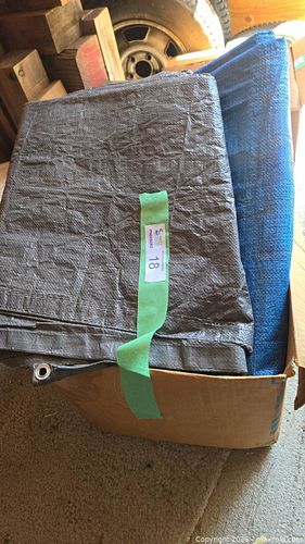 Lot #18 (1 of 8)