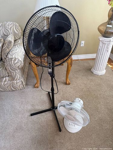 Electric Indoor Fans (1 of 3)