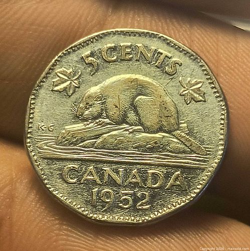 Lot #49 (1 of 2)