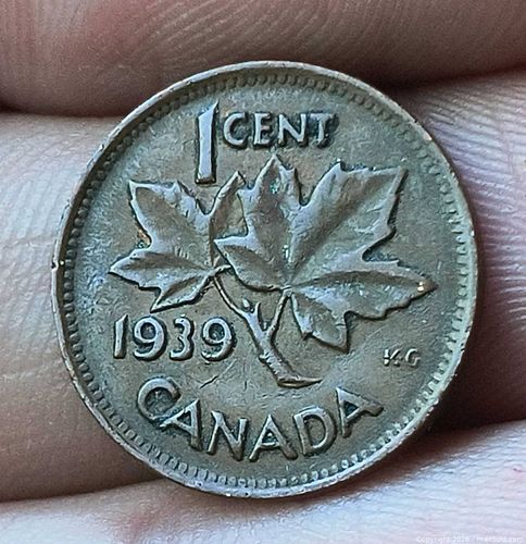 Lot #5 (1 of 3)
