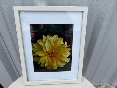 Lot #44 (1 of 3)