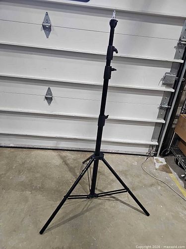 Lot #49 (1 of 6)
