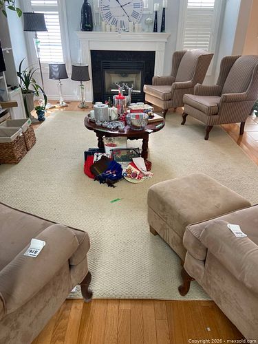 Large Neutral-Tone Area Rug with Non-Slip Padding (1 of 4)