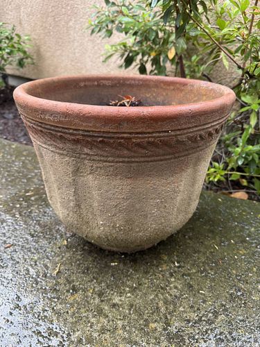 Lot #209 (1 of 3)