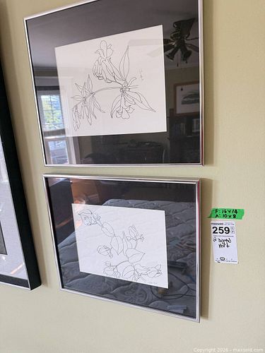 Lot #259 (1 of 10)