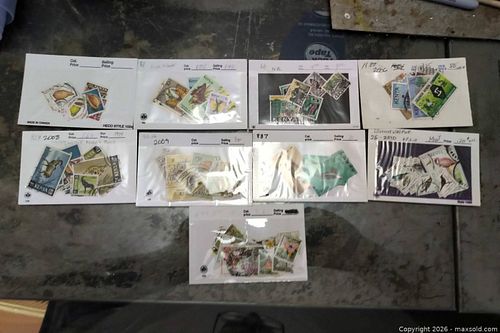 Lot #30 (1 of 11)