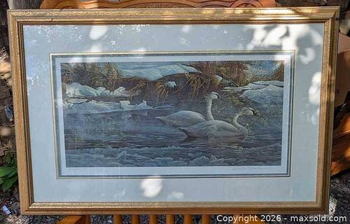 Lot #75 (1 of 17)