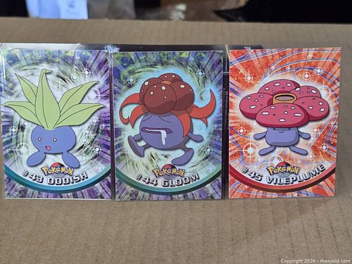Lot #13 (1 of 5)