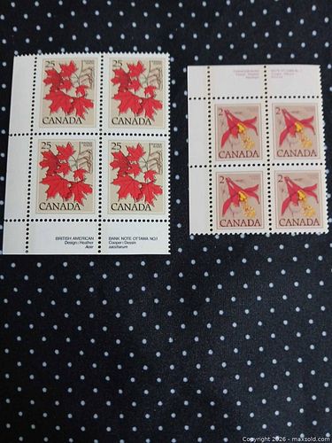 Lot #20 (1 of 5)