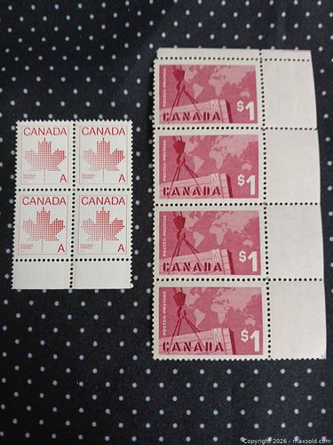 Lot #14 (1 of 3)
