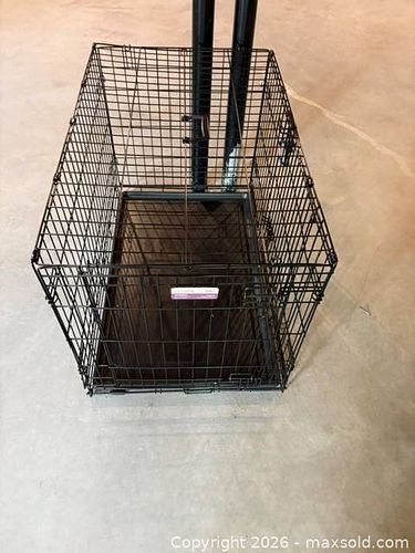 Lot #18 (1 of 1)