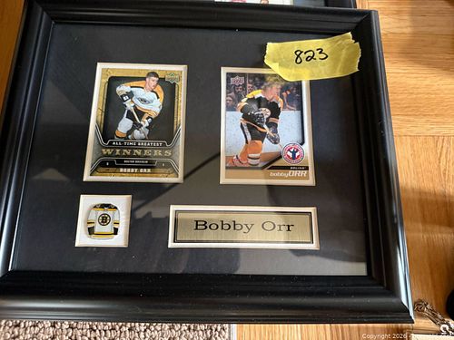 Lot #823 (1 of 3)