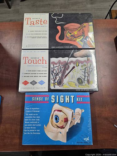 Lot #47 (1 of 3)