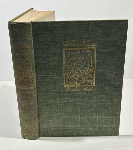 Lot #46 (1 of 20)