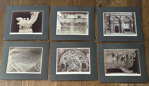 Lot #8 (1 of 14)