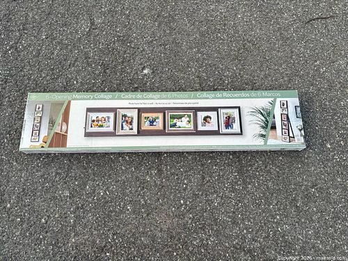 Lot #18 (1 of 6)
