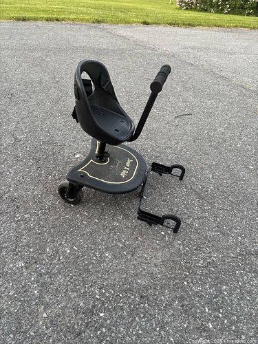 Lot #21 (1 of 12)