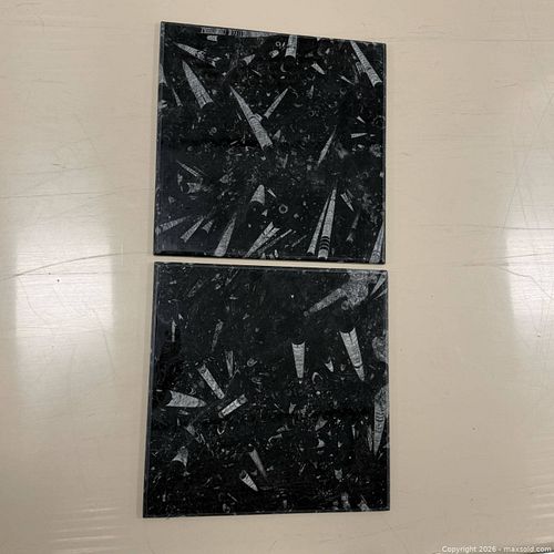 Lot #47 (1 of 14)