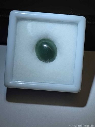 Lot #5 (1 of 8)
