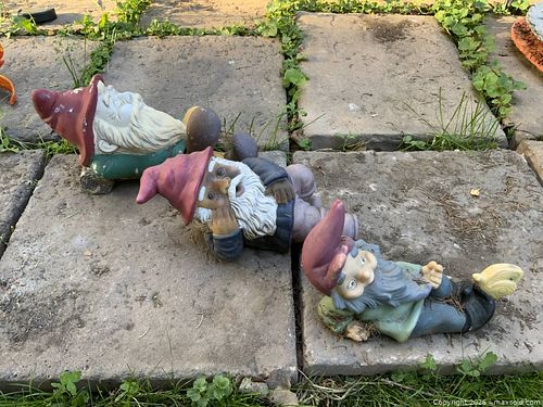 Lot #15 (1 of 4)