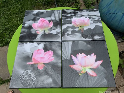 Lot #35 (1 of 6)