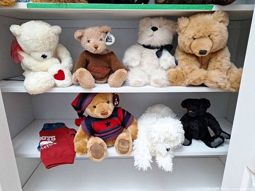 Teddy Bears with Clothing B (1 of 19)