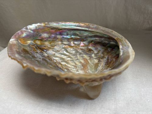 Lot #323 (1 of 9)