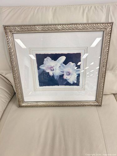 Lot #3 (1 of 6)