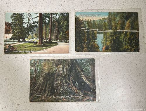 Lot #11 (1 of 5)