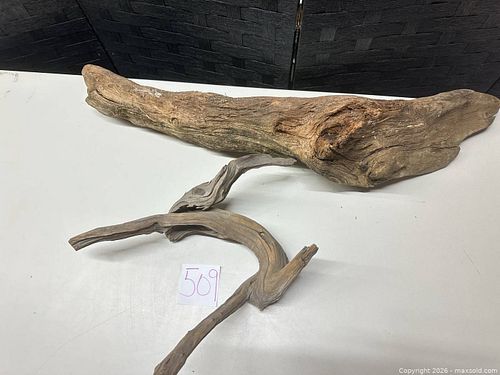 Lot #509 (1 of 9)