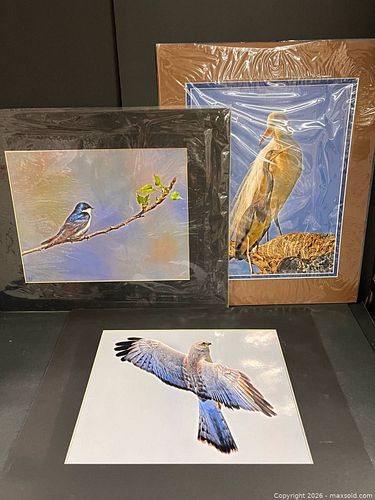 Lot #56 (1 of 9)