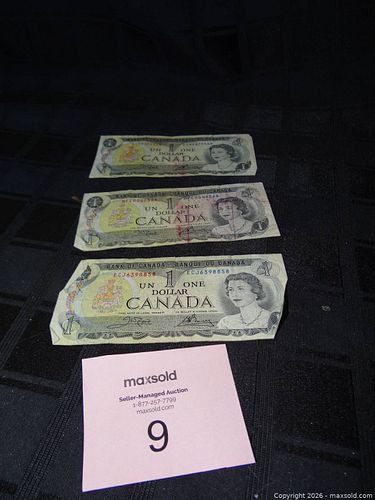 Lot #9 (1 of 2)