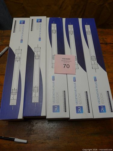 Lot #70 (1 of 2)