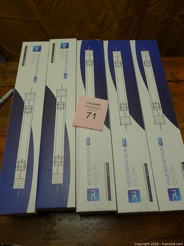 Lot #71 (1 of 2)