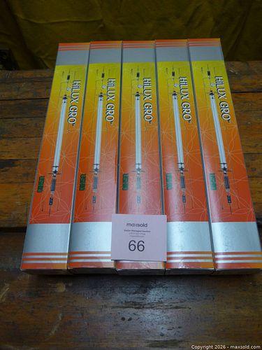 Lot #66 (1 of 2)