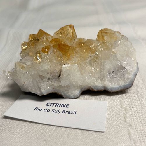 Lot #157 (1 of 4)