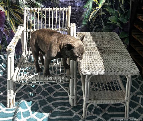 2-Piece Wicker/Rattan Armchair and Side Table, Painted White (1 of 3)