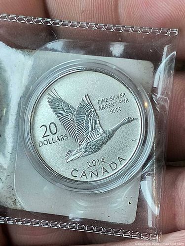 Lot #20 (1 of 5)